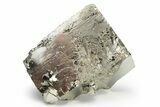 Gleaming, Cubic Pyrite Crystal Cluster - Peru #225986-1